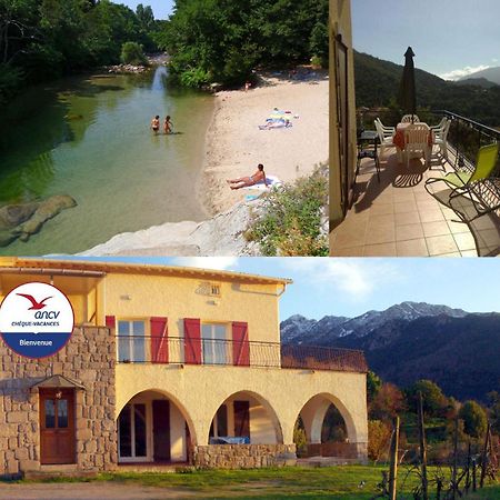 95M2 Au Calme A 25Mn Ajaccio, Plages, Linge Inclus Parking Ok Ucciani Exterior foto