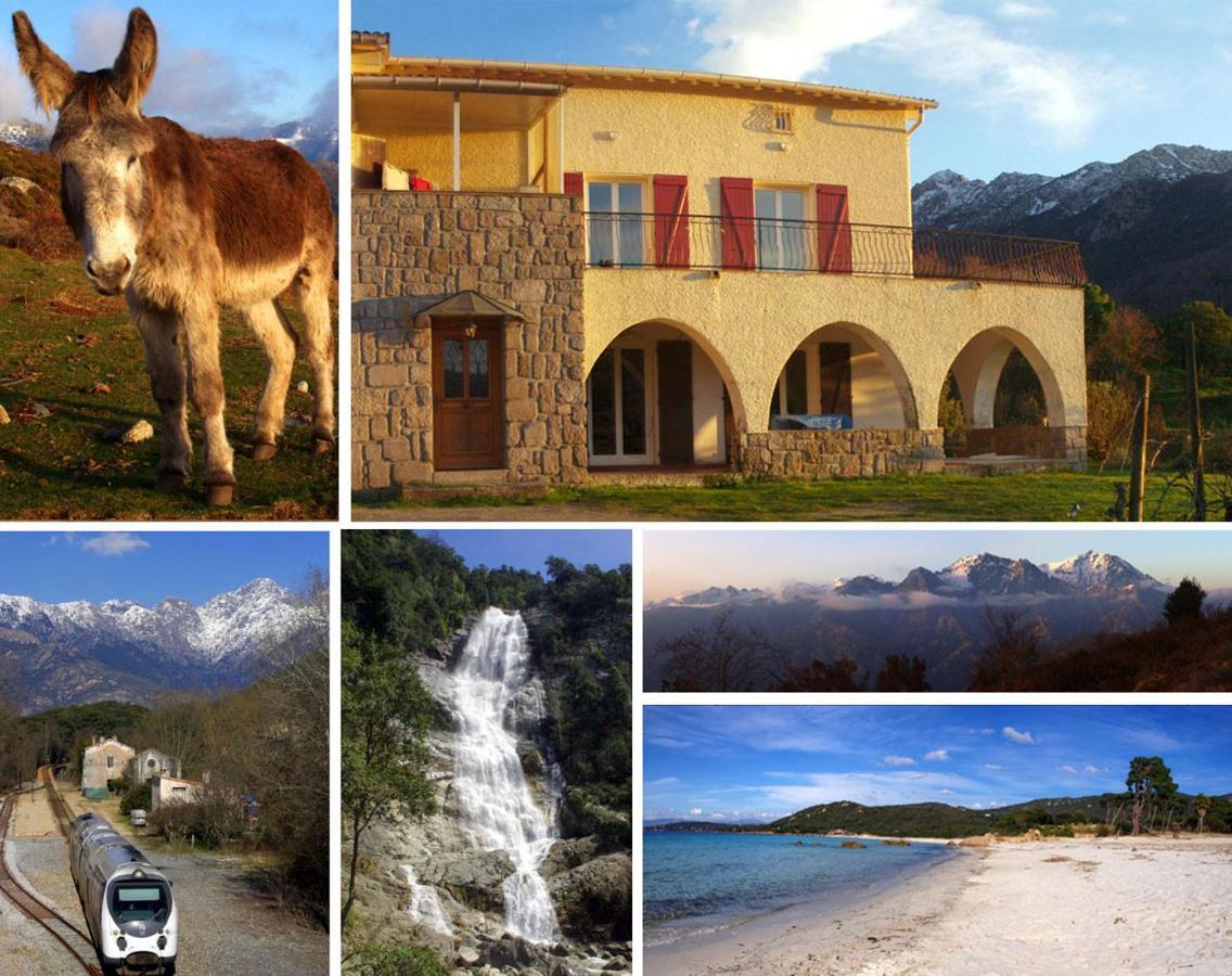 95M2 Au Calme A 25Mn Ajaccio, Plages, Linge Inclus Parking Ok Ucciani Exterior foto