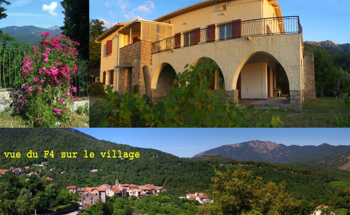 95M2 Au Calme A 25Mn Ajaccio, Plages, Linge Inclus Parking Ok Ucciani Exterior foto