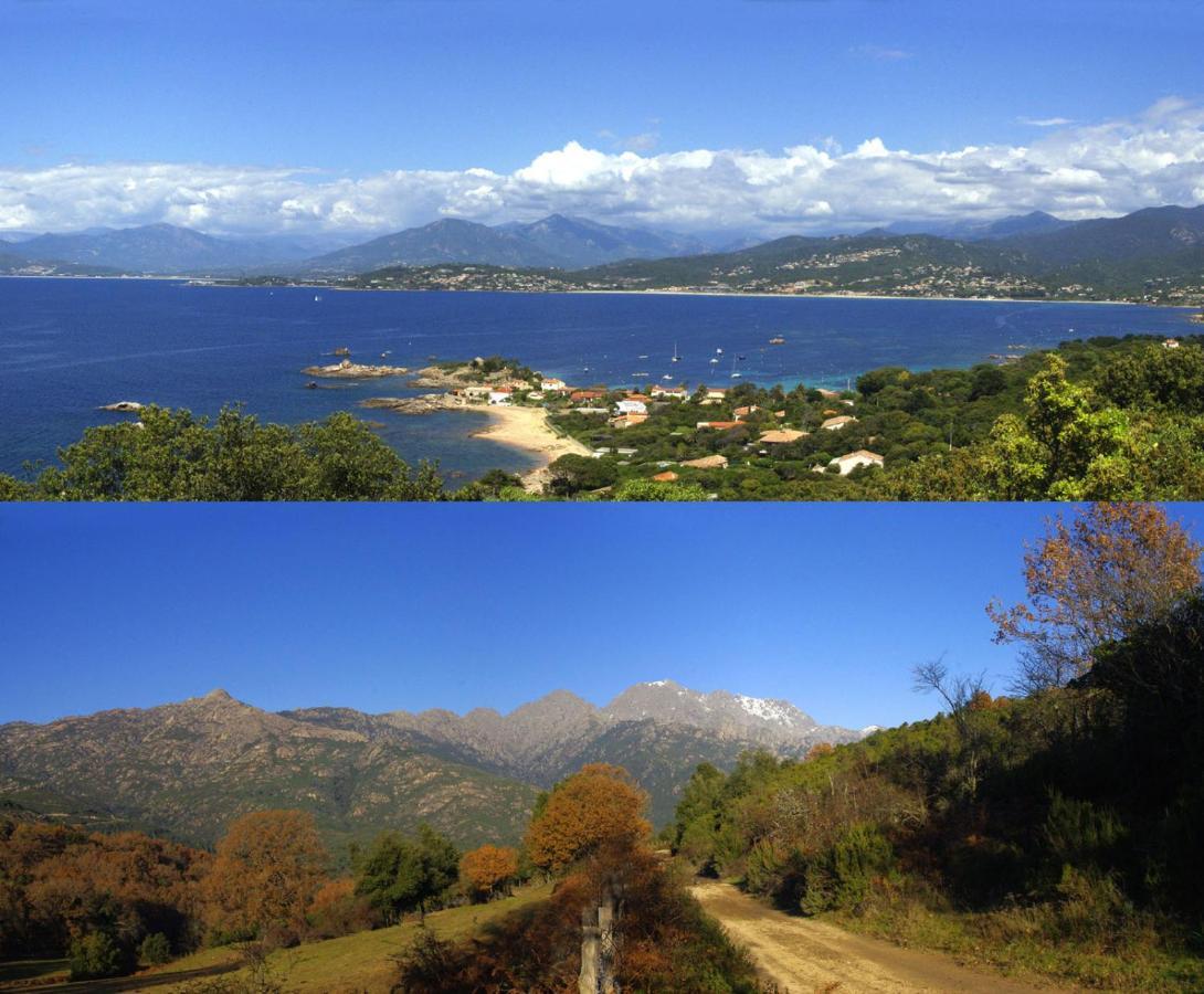95M2 Au Calme A 25Mn Ajaccio, Plages, Linge Inclus Parking Ok Ucciani Exterior foto