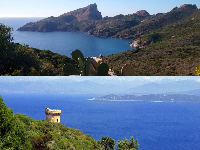 95M2 Au Calme A 25Mn Ajaccio, Plages, Linge Inclus Parking Ok Ucciani Exterior foto